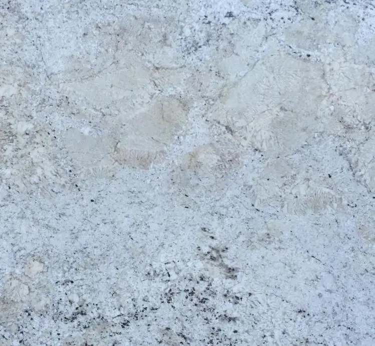 Fantastic White Granite 