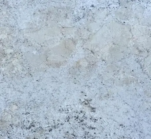 Fantastic White Granite 