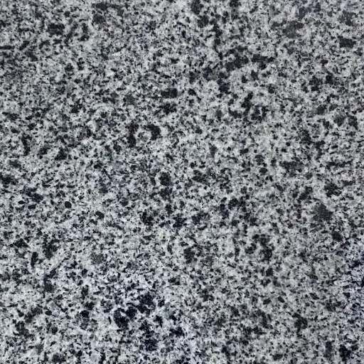  New Halayeb Granite